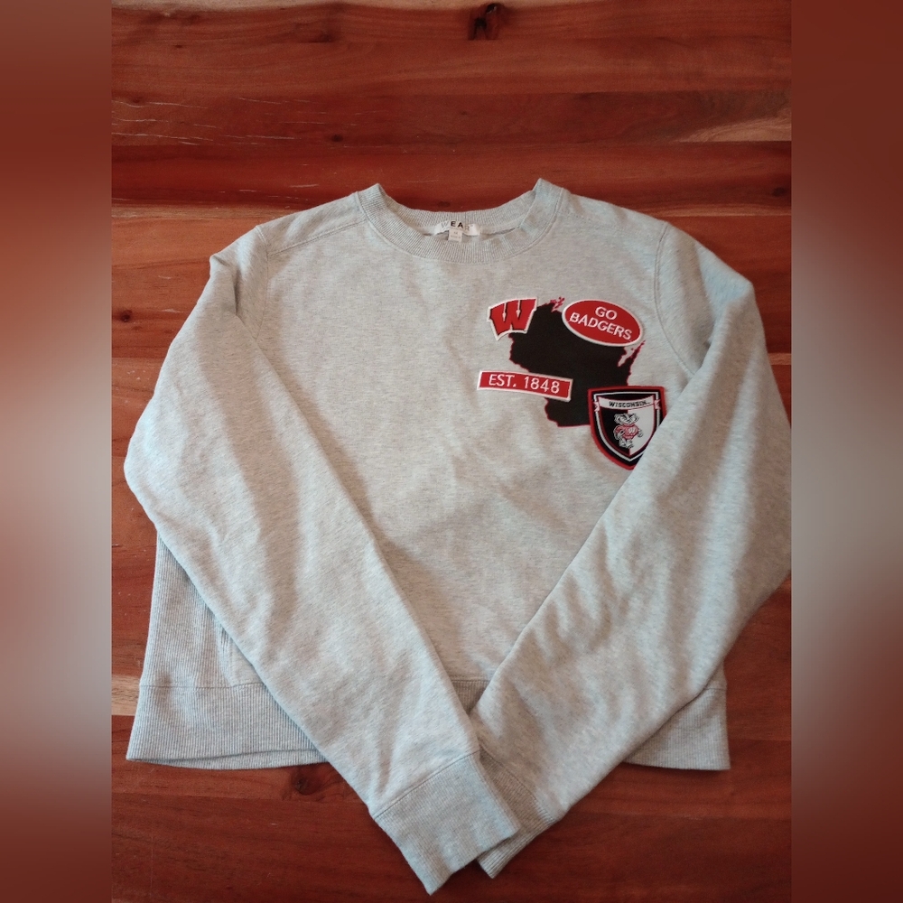Gray Wisconsin Badgers Sweatshirt